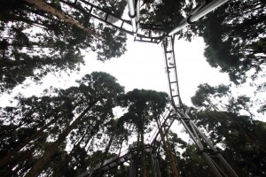 skywalk